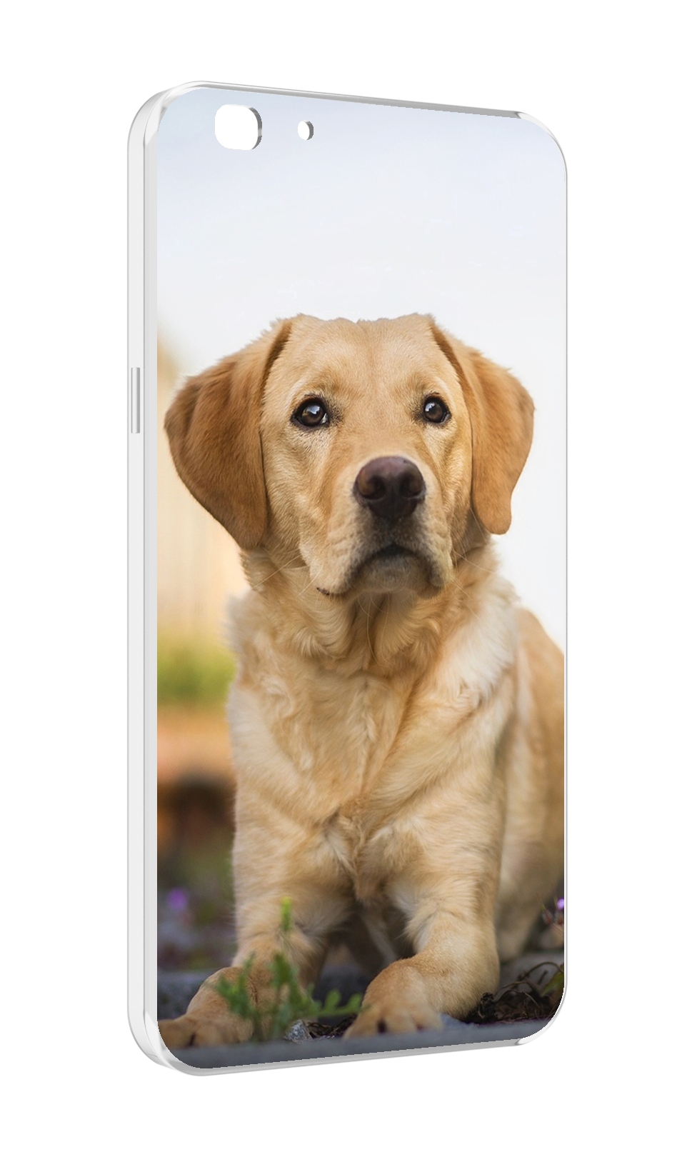 

Чехол MyPads лабрадор ретривер для Oppo A77/F3 (2017 год), Прозрачный, Tocco