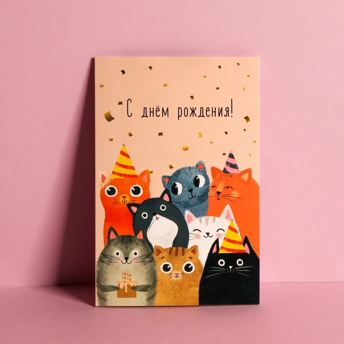

Открытка средняя Компания, коты, 12 × 18 см