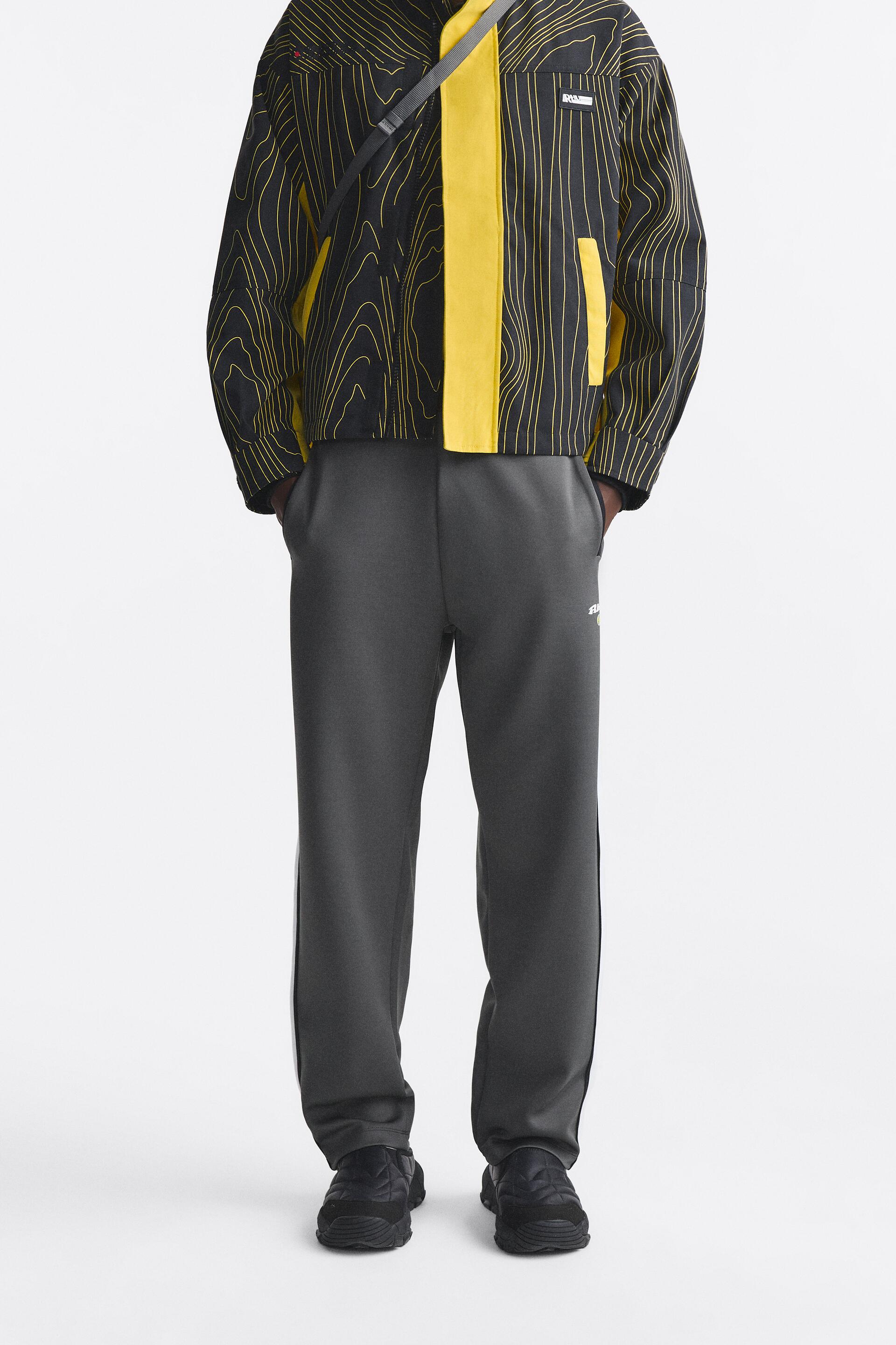 

Брюки мужские ZARA 05372407 серые M (доставка из-за рубежа), Серый, 05372407