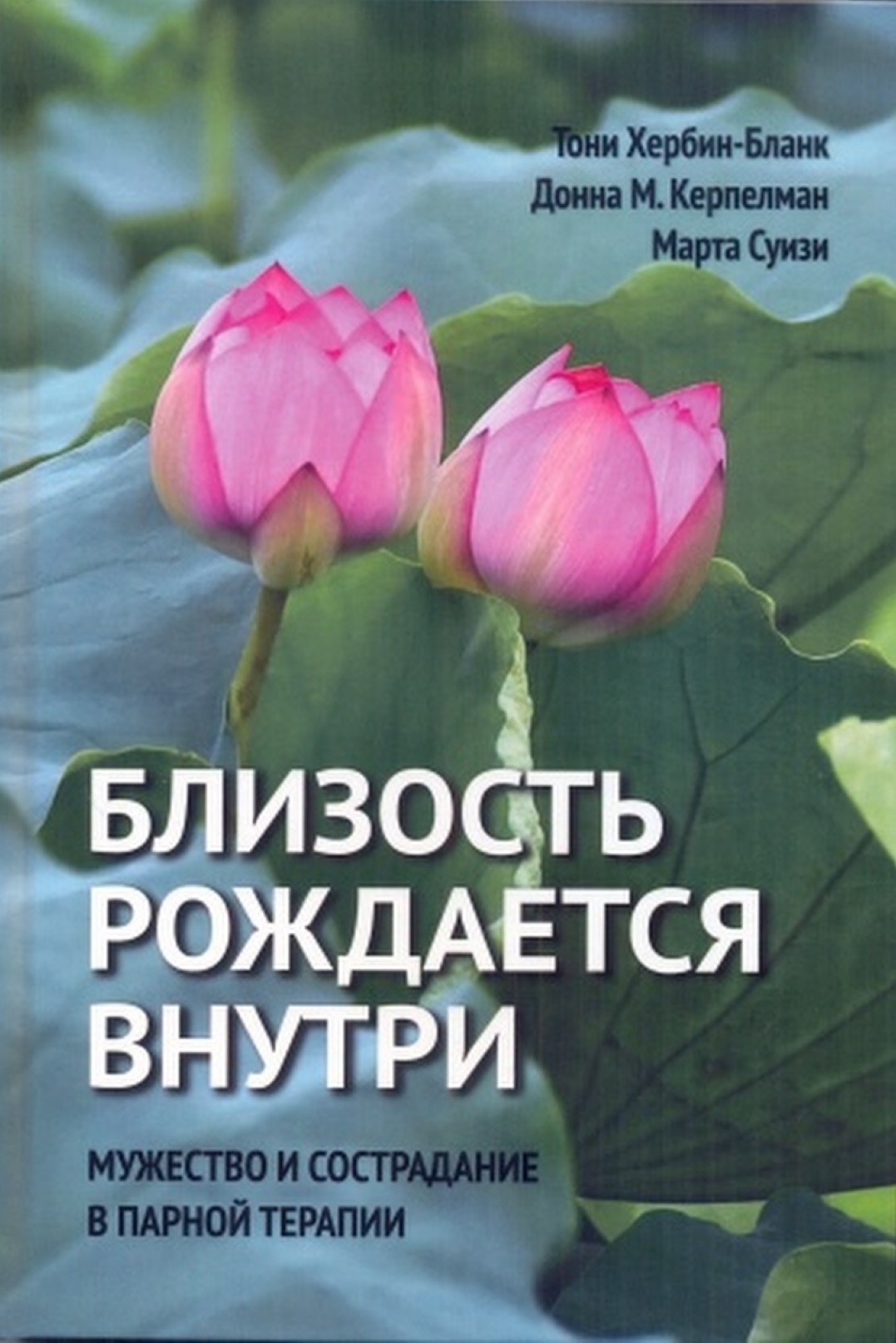 

Близость рождается внутри. Мужество и сострадание в парной терапии