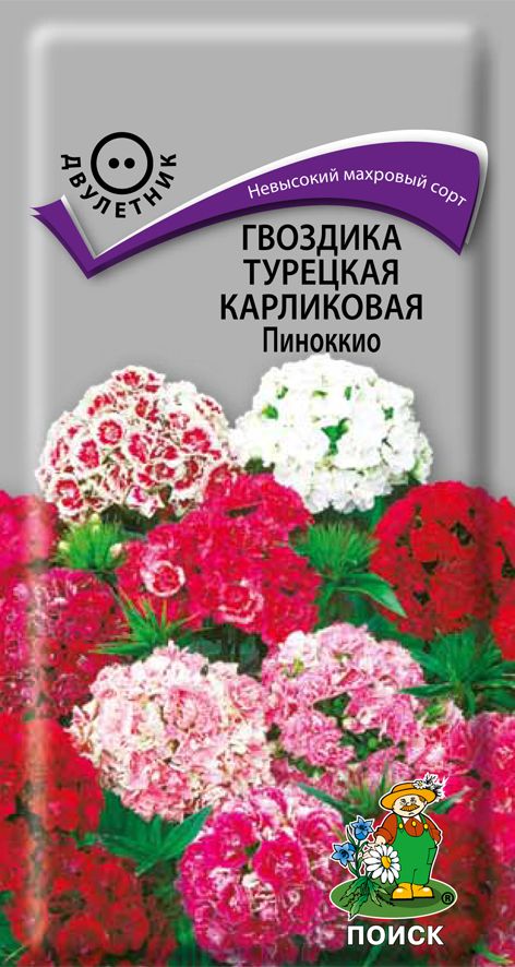 

Семена Гвоздика Карликовая Пиноккио 0,3 г