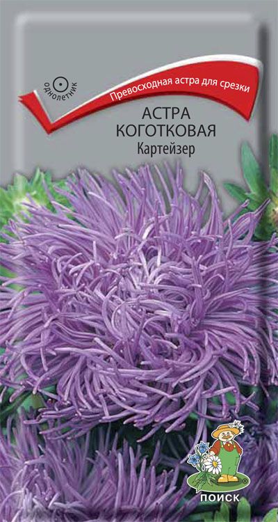 

Семена Астра Коготковая Картейзер 0,3 г