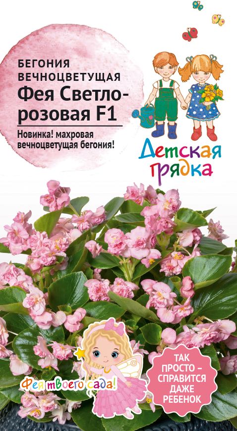 

Семена Бегония вечноцветущая ФЕЯ Светло-розовая F1 5 шт Детская грядка