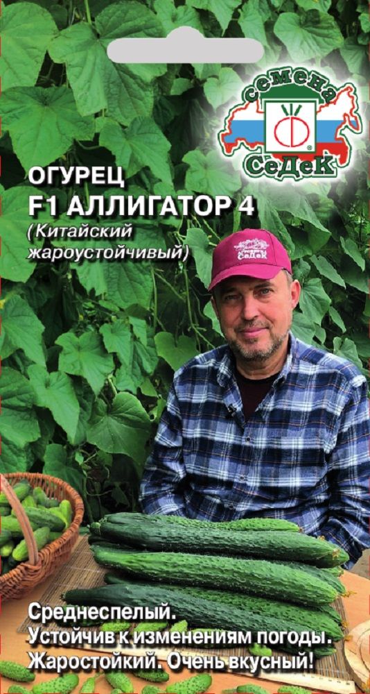 

Огурец Аллигатор 4 F1