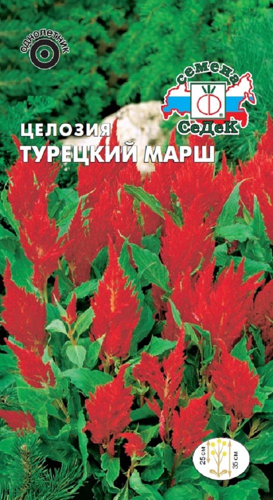 

Цветок Целозия Турецкий марш