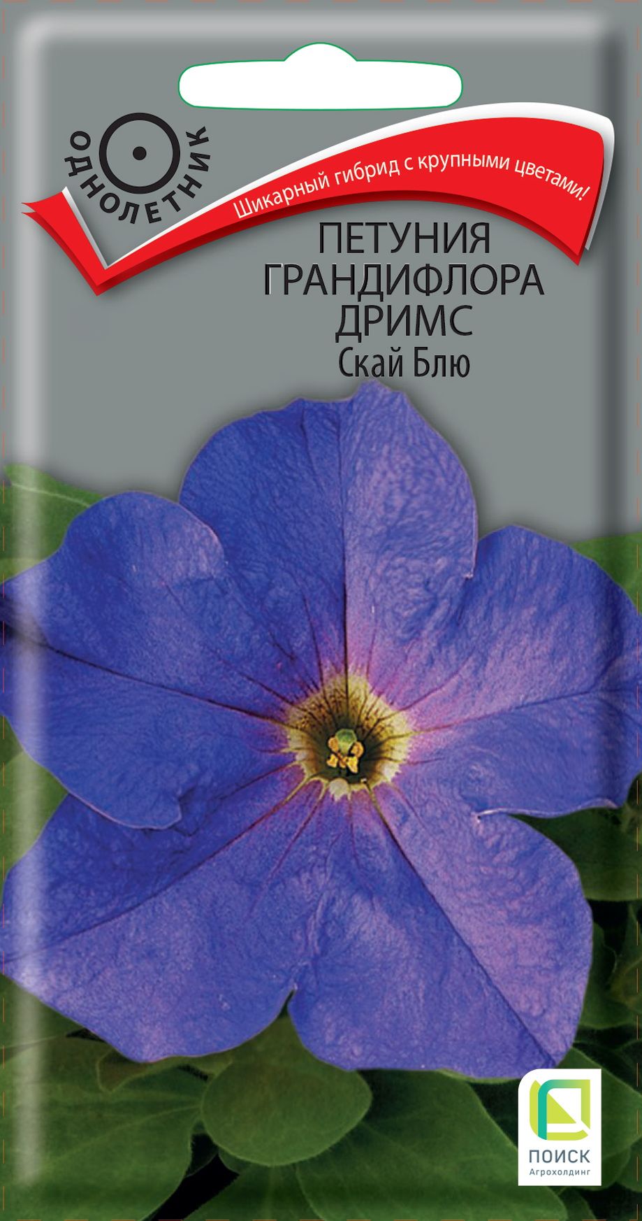 

Семена петуния дримс скай блю
