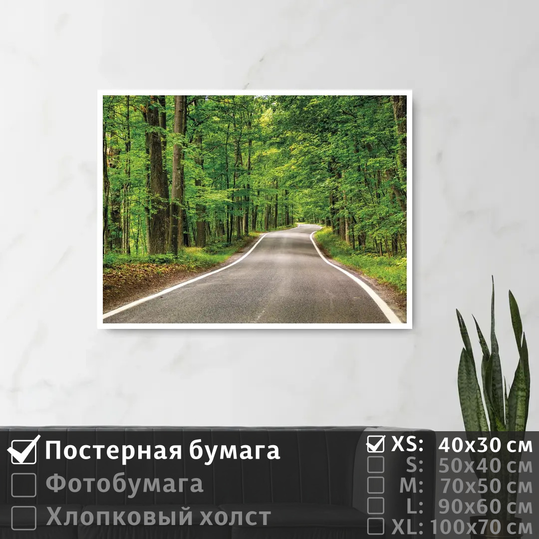 

Постер на стену ПолиЦентр Дорога уходящая вдаль в летнем лесу 40х30 см, ДорогаУходящаяВдальВЛетнемЛесу