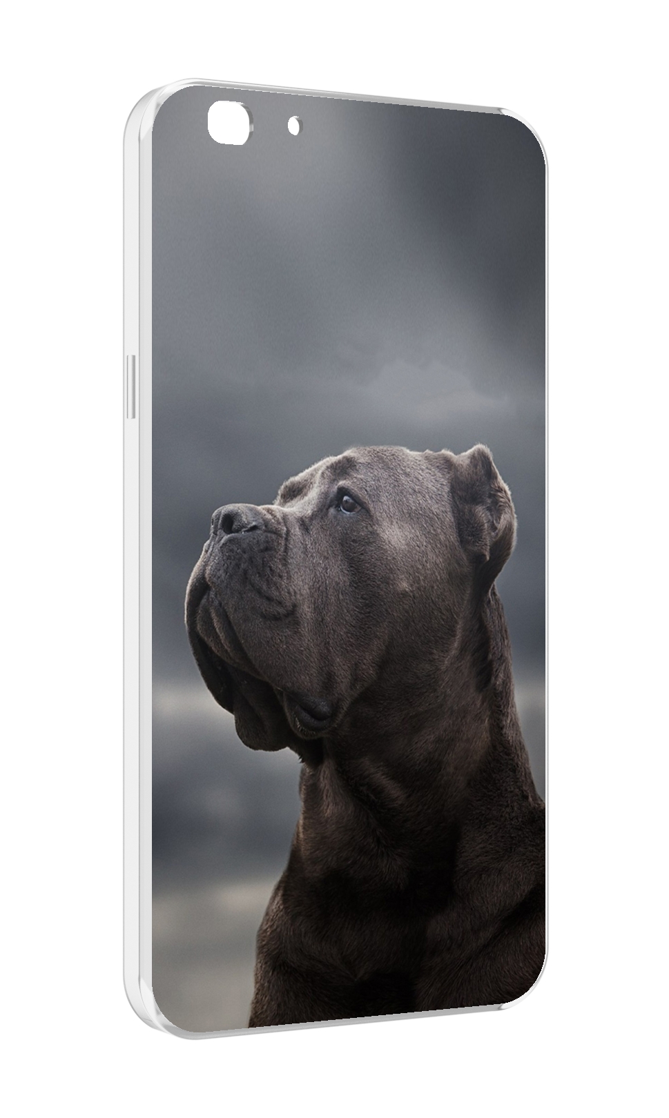 

Чехол MyPads кане корсо для Oppo A77/F3 (2017 год), Прозрачный, Tocco