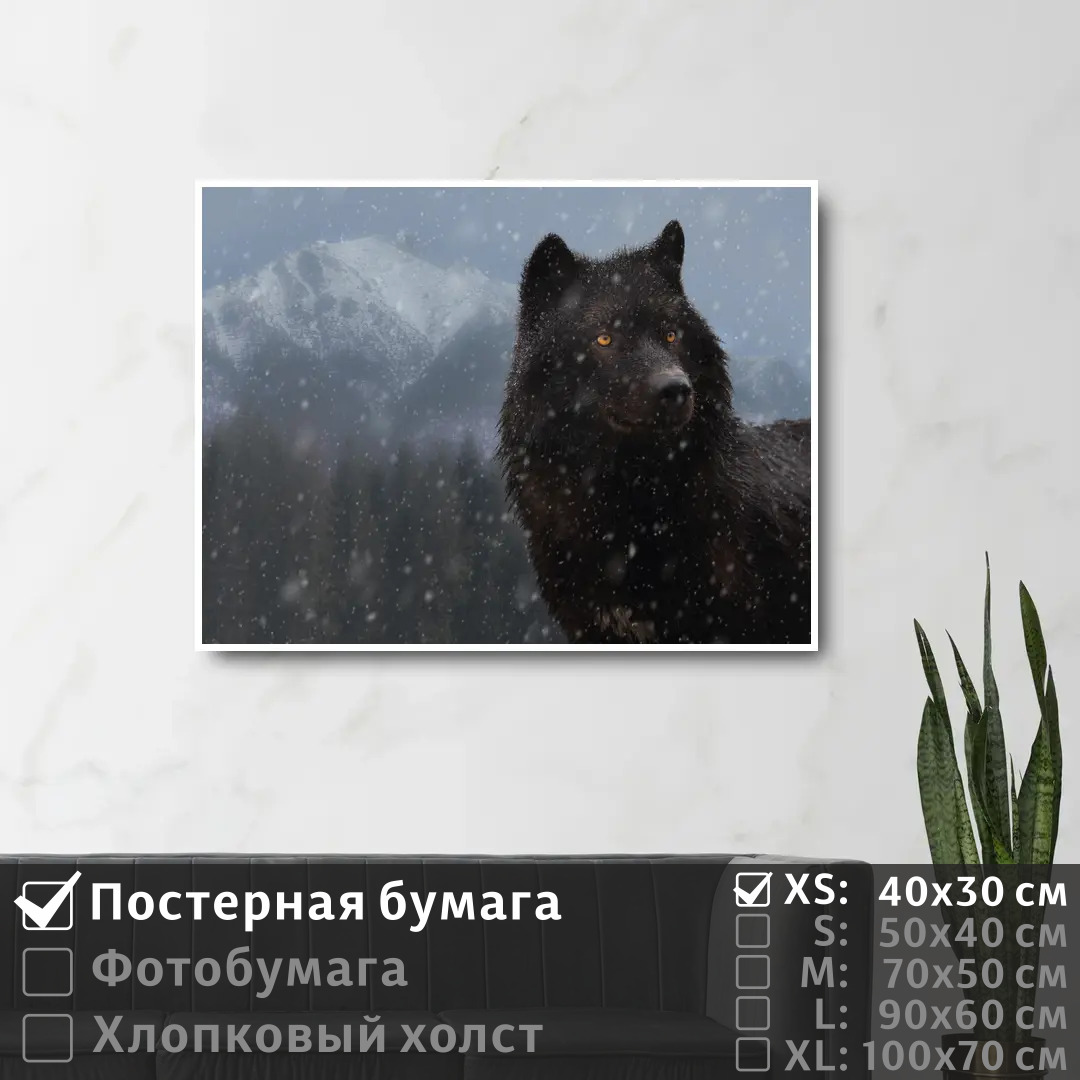 

Постер на стену ПолиЦентр Черный волк с желтыми глазами 40х30 см, ЧерныйВолкСЖелтымиГлазами