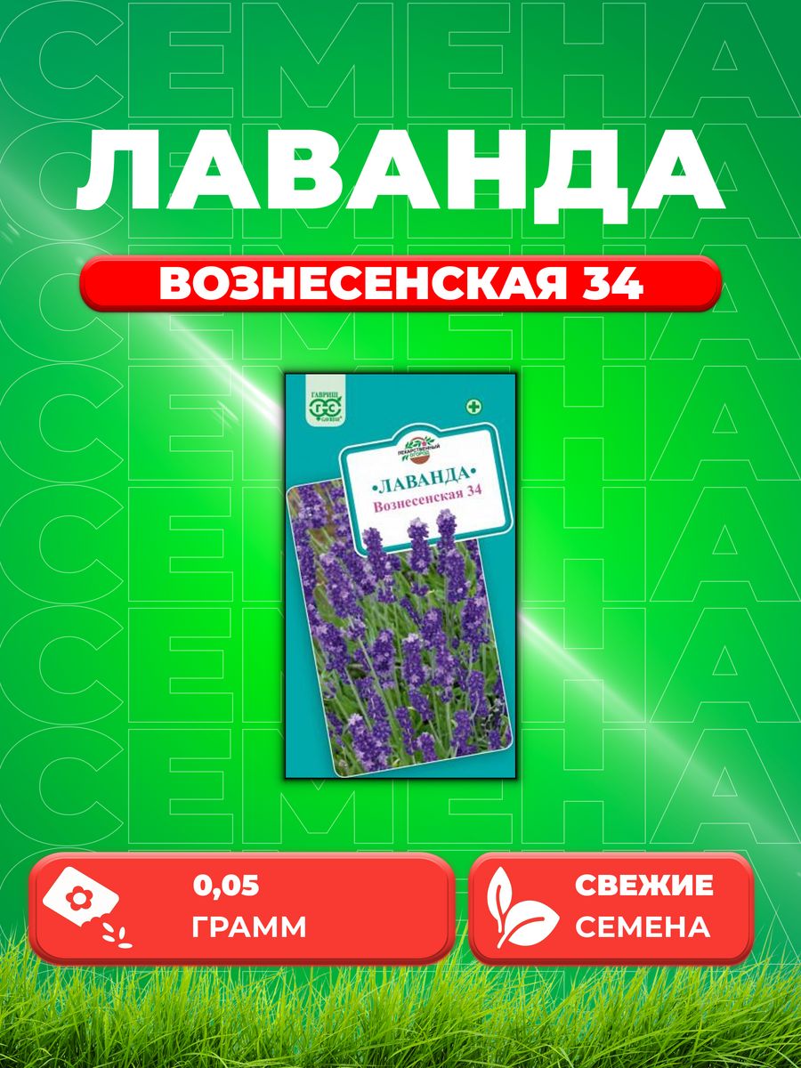 

Семена Лаванда узколистная Вознесенская* 34 0,05 г