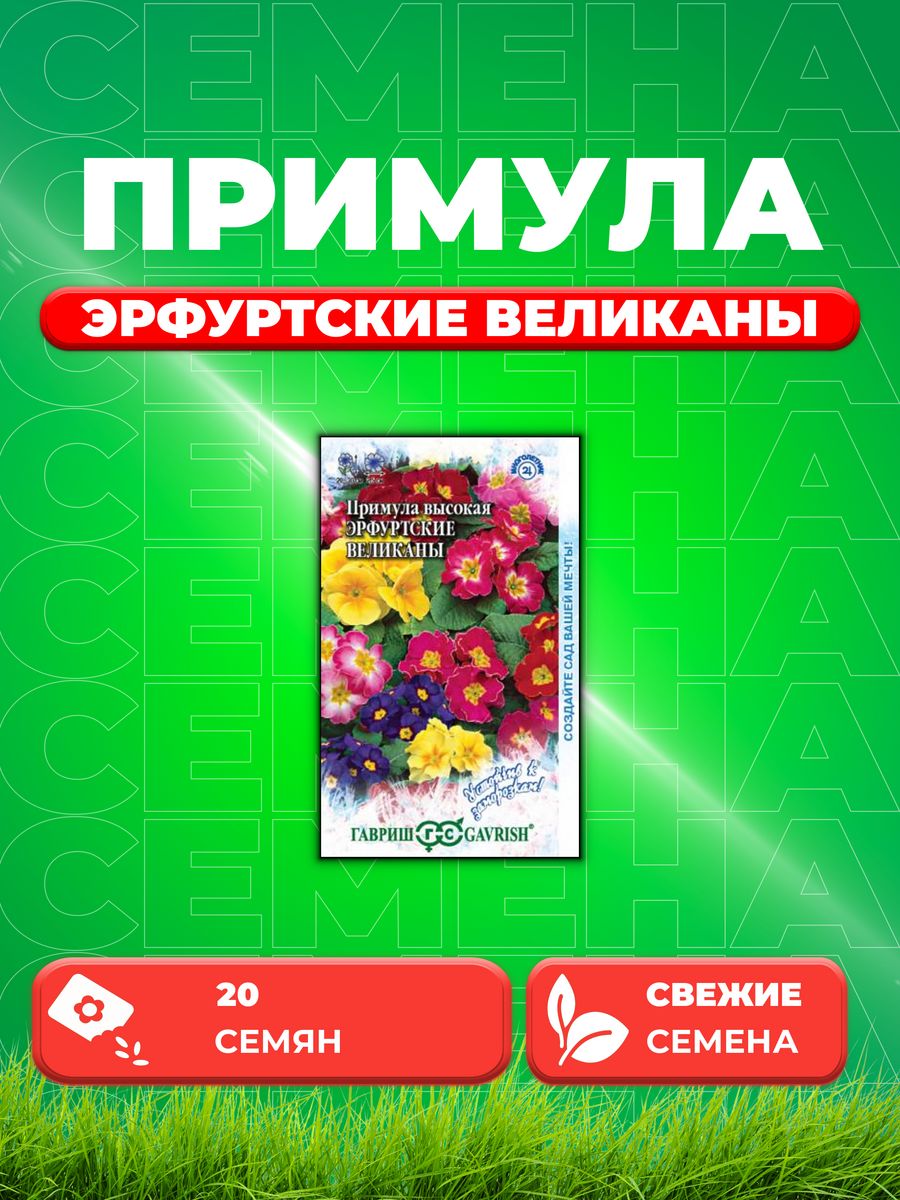 

Семена Примула Эрфуртские великаны 20 шт.