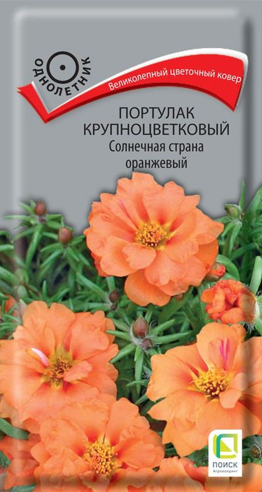 

Семена портулак солнечная страна оранжевый