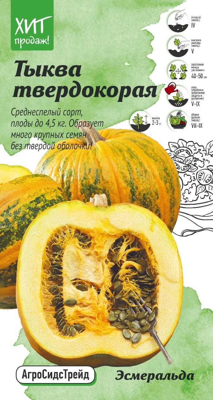 

Семена Тыква твердокорая Эсмеральда 2г Агросидстрейд