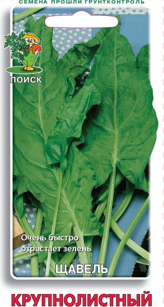 

Семена щавель крупнолистный