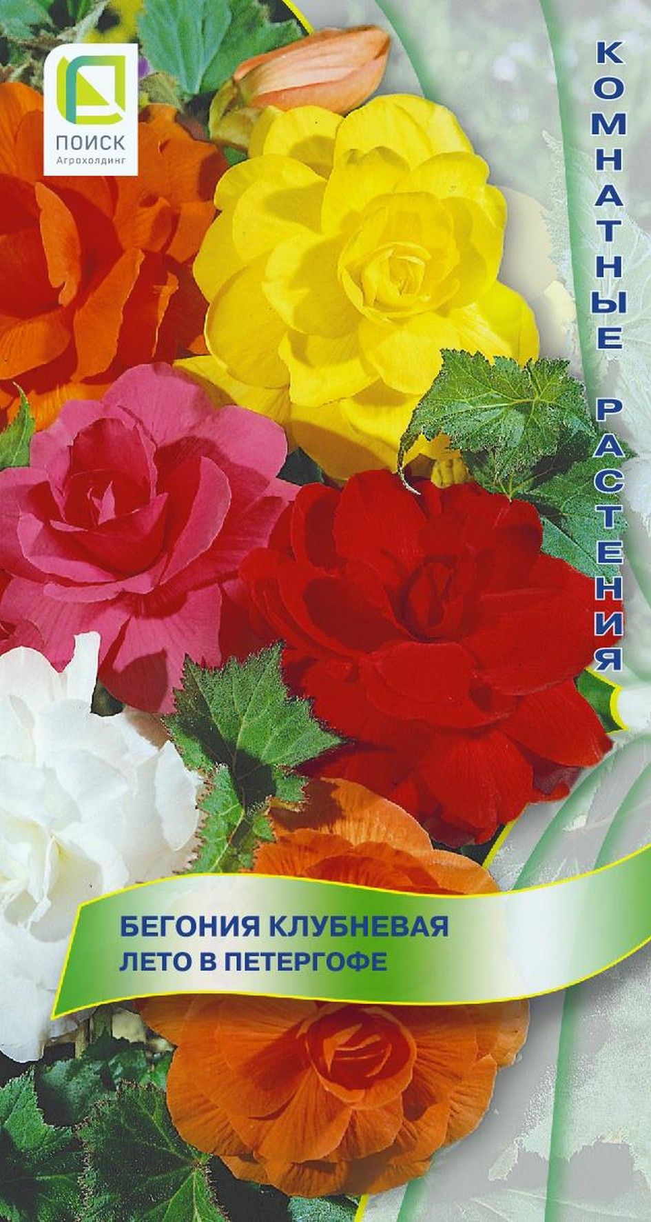 

Семена бегония лето в петергофе