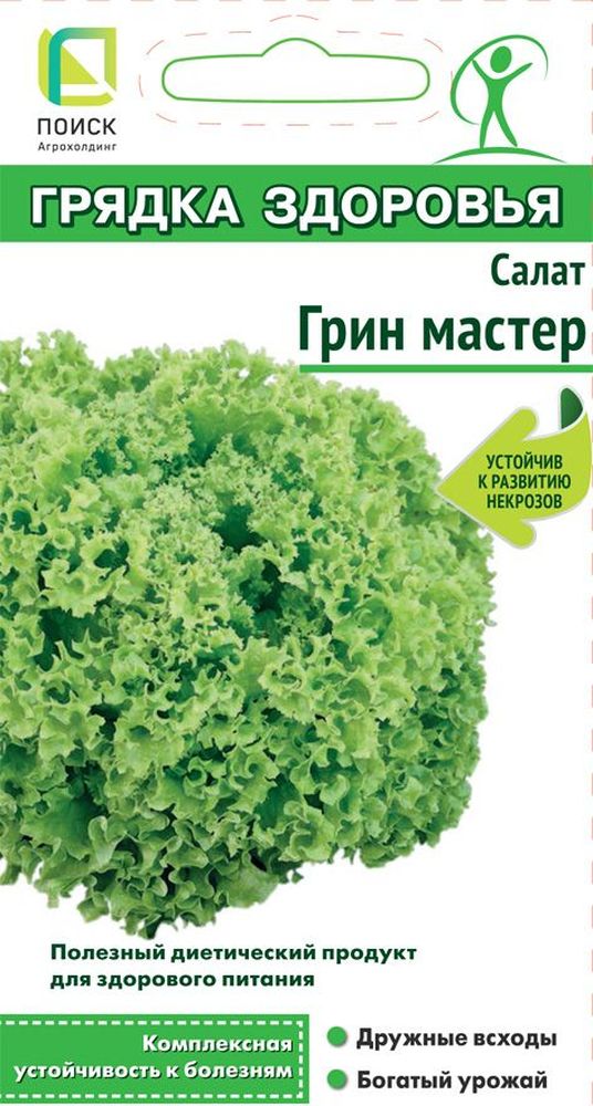 

Семена салат грин мастер