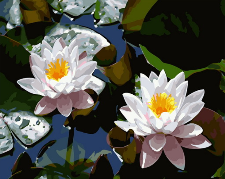 

Картина по номерам Две картинки Два белых лотоса на водном зеркале на подрамнике 40x50, Два белых лотоса на водном зеркале