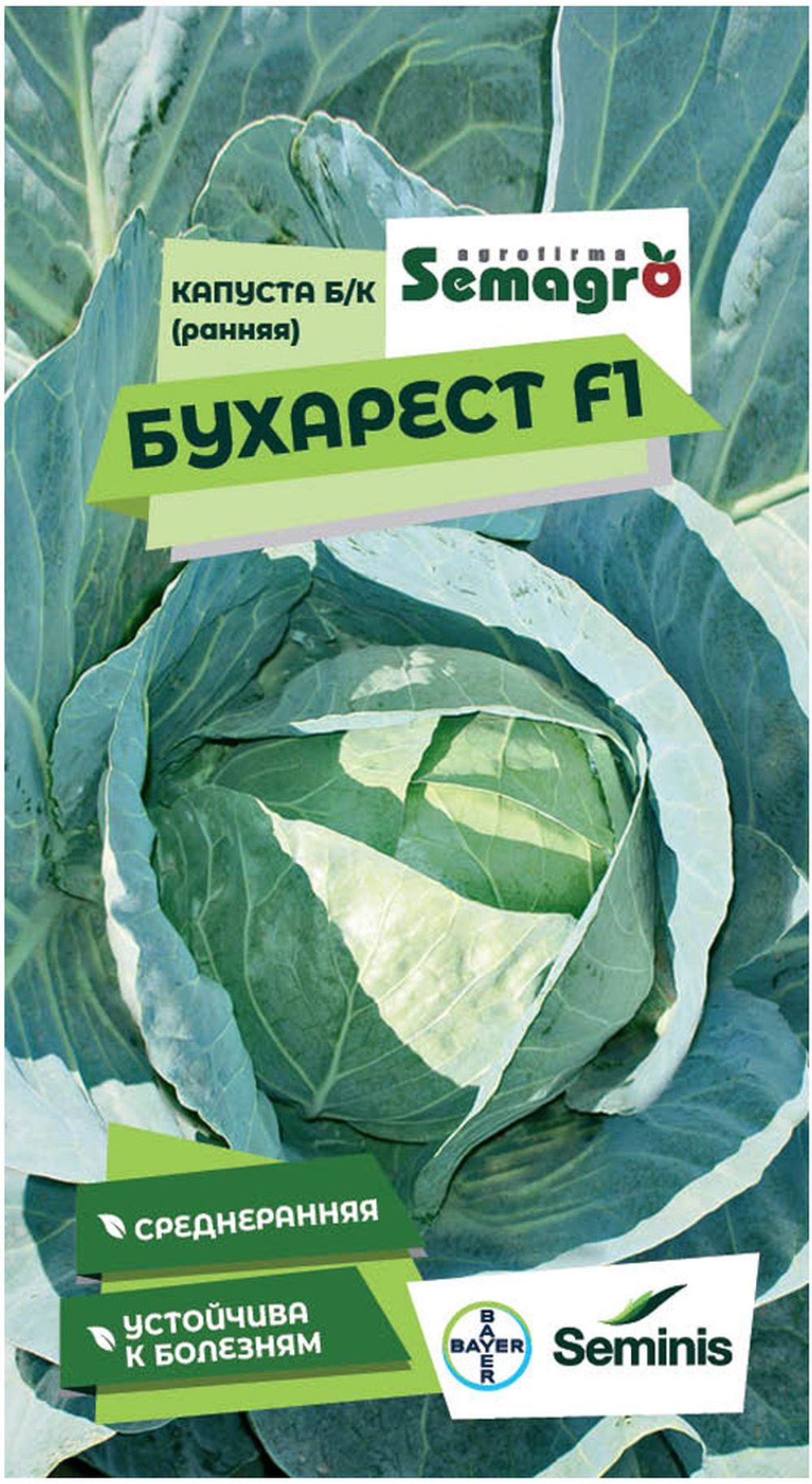

Семена капусты белокочанной SEMINIS БУХАРЕСТ F1
