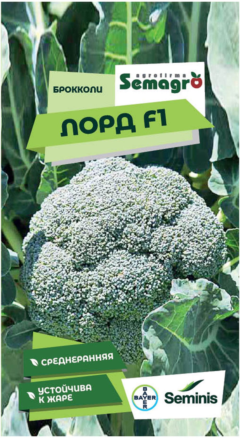 

Семена брокколи SEMINIS ЛОРД F1