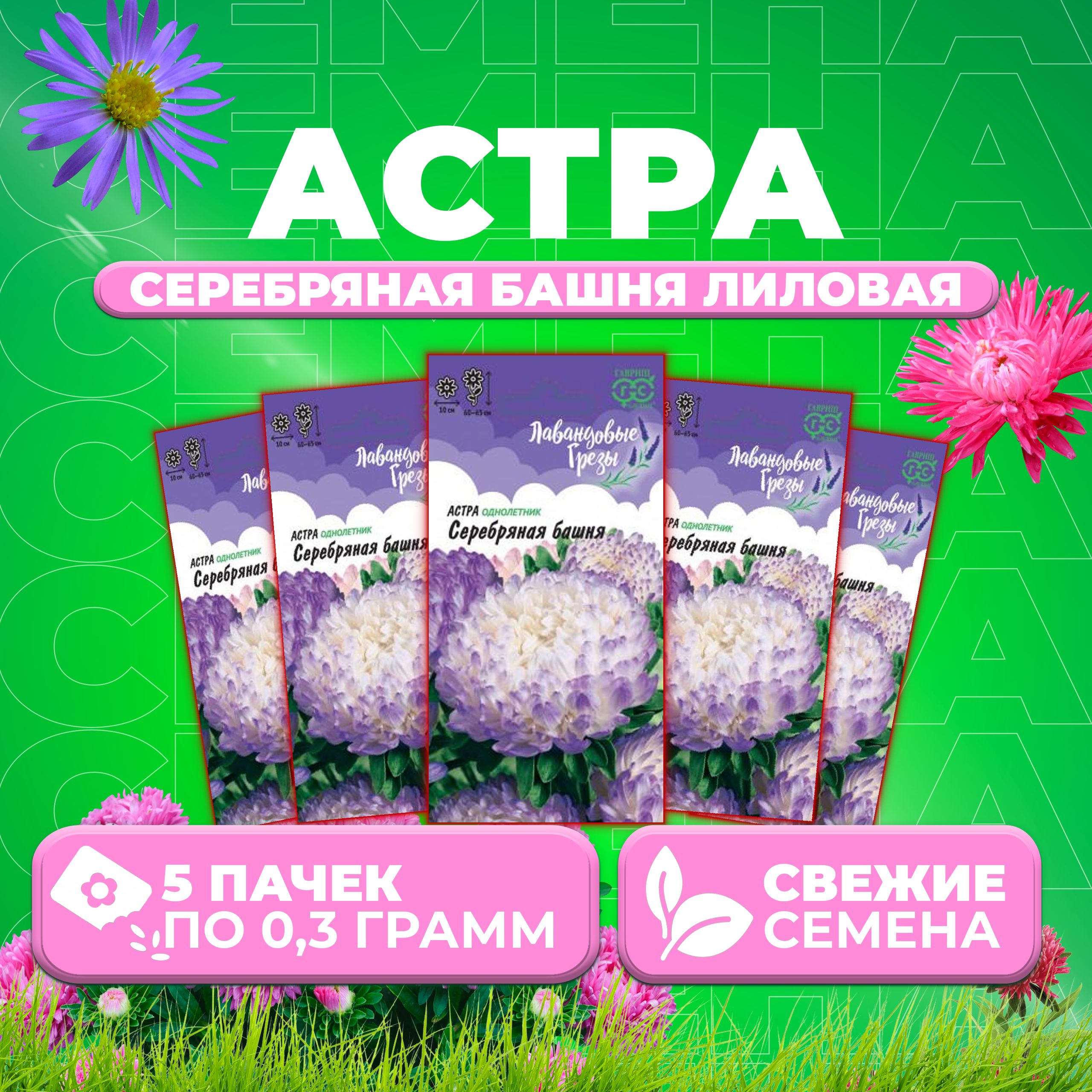 

Семена Астра Башня серебряная, пионовидная, 0,3г, Гавриш, Лавандовые грезы 5 уп