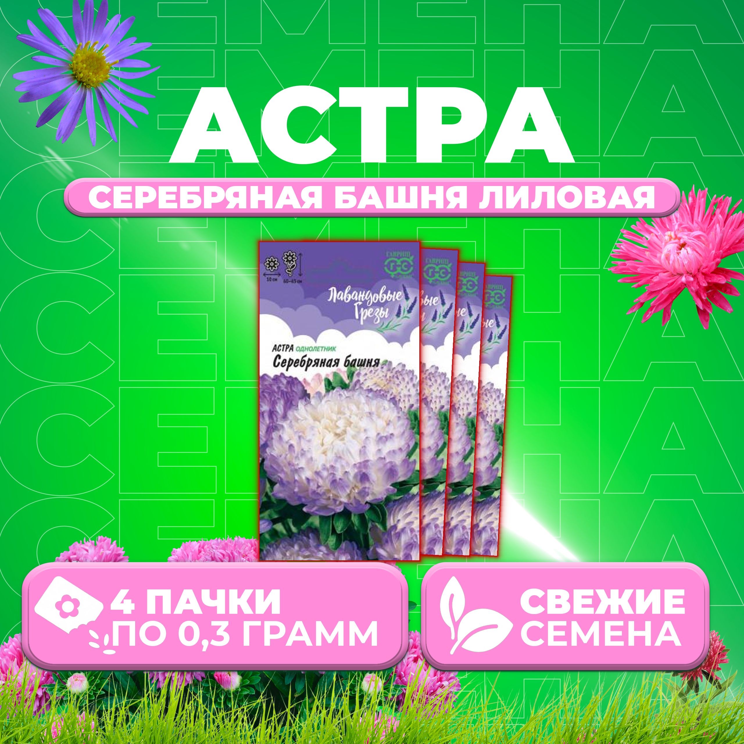 

Семена Астра Башня серебряная, пионовидная, 0,3г, Гавриш, Лавандовые грезы 4 уп
