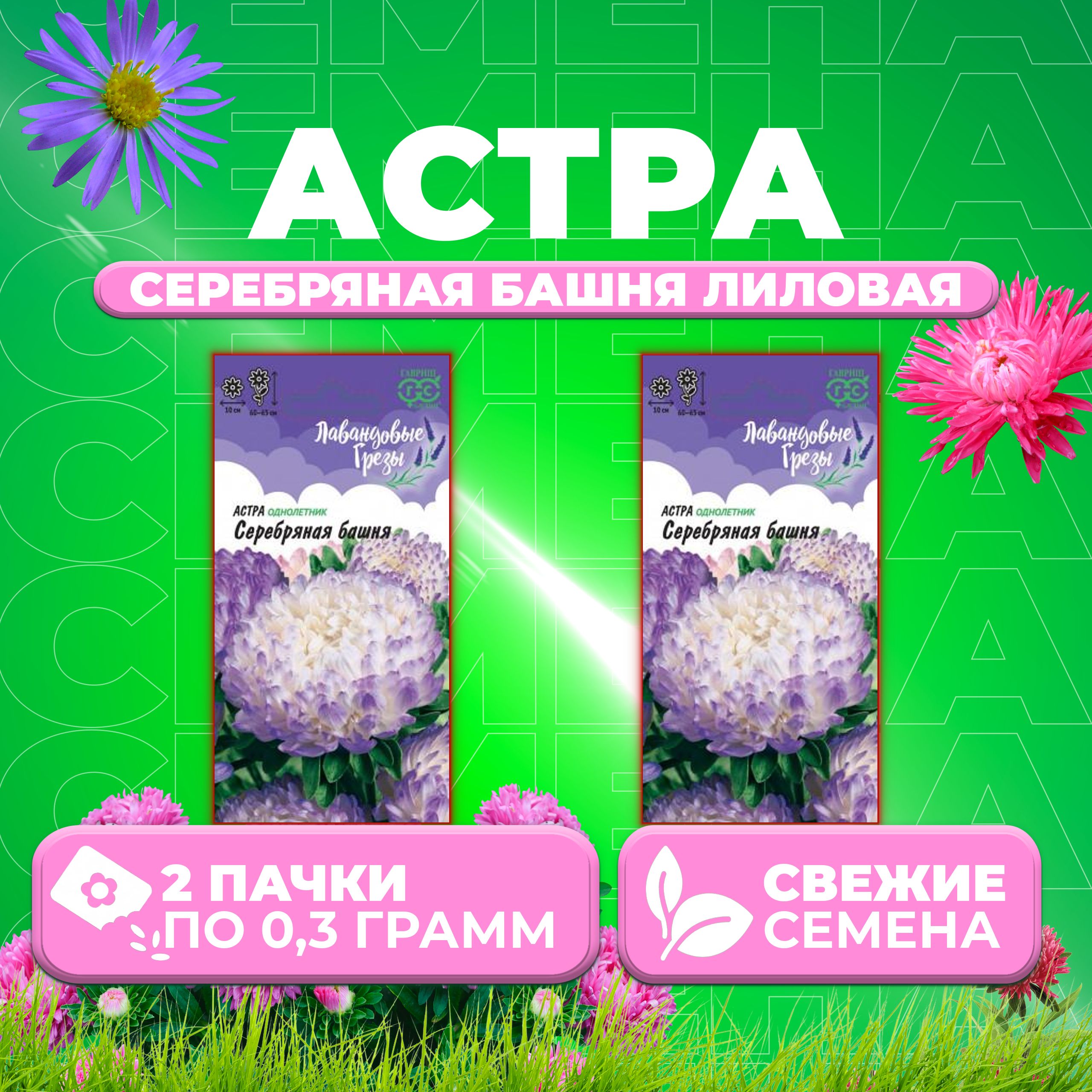 

Семена Астра Башня серебряная, пионовидная, 0,3г, Гавриш, Лавандовые грезы 2 уп