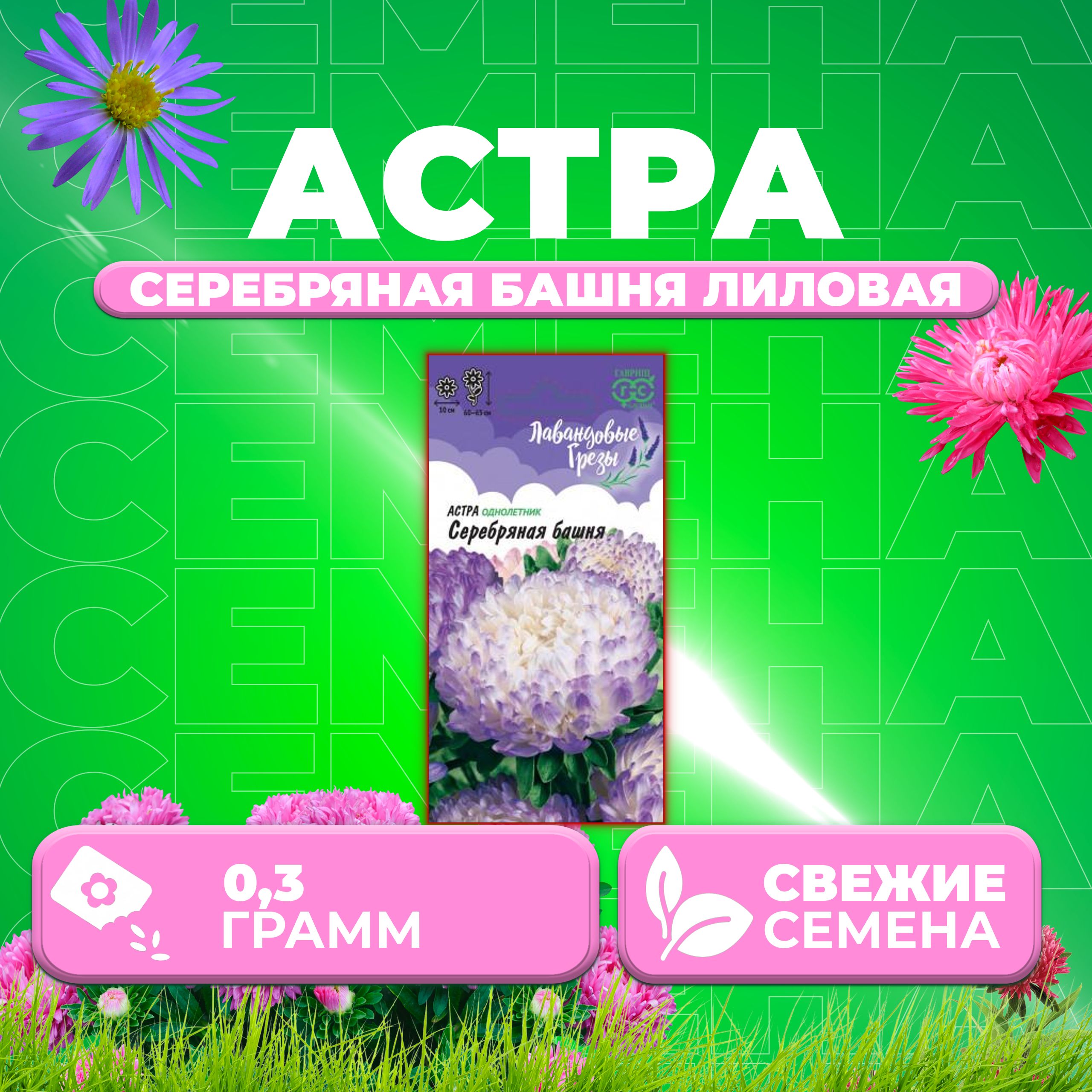 

Семена Астра Башня серебряная, пионовидная, 0,3г, Гавриш, Лавандовые грезы 1 уп