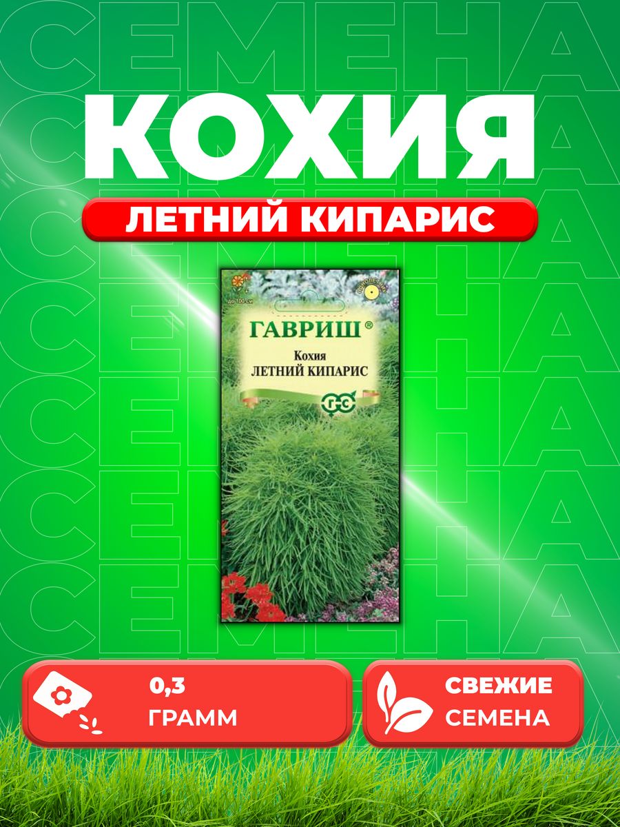 

Семена Кохия Летний кипарис веничная 0,3 г DH