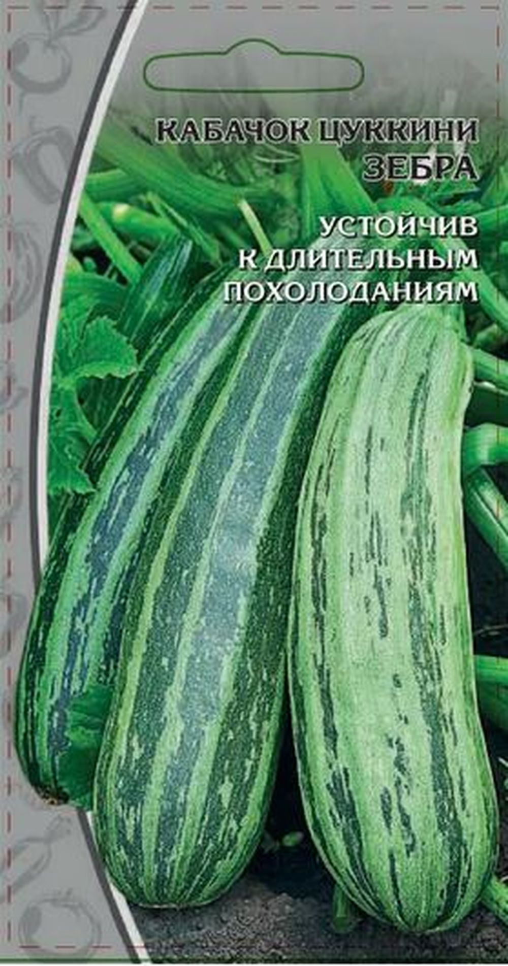 

Кабачок Зебра, 1г
