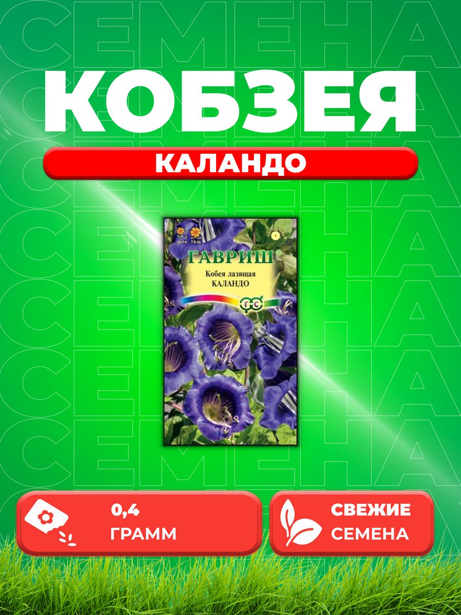 

Семена Кобея лазящая Каландо 5 шт.