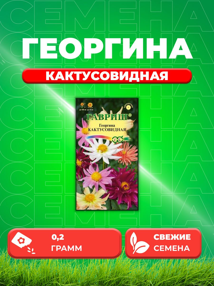 

Семена Георгина Кактусовидная, смесь 0,2 г