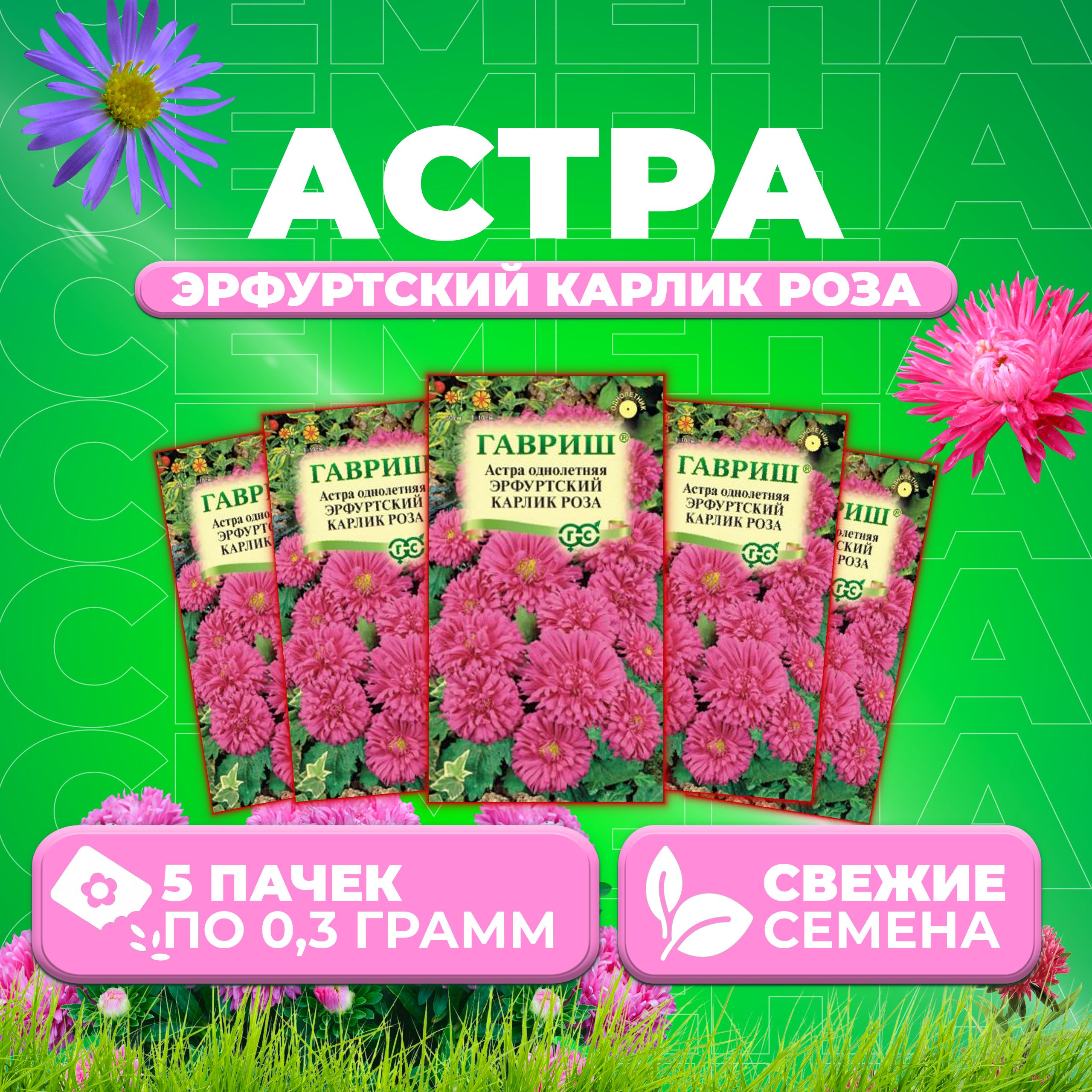 

Семена Астра Эрфуртский карлик Роза, 0,3г, Гавриш, Цветочная коллекция 5 уп