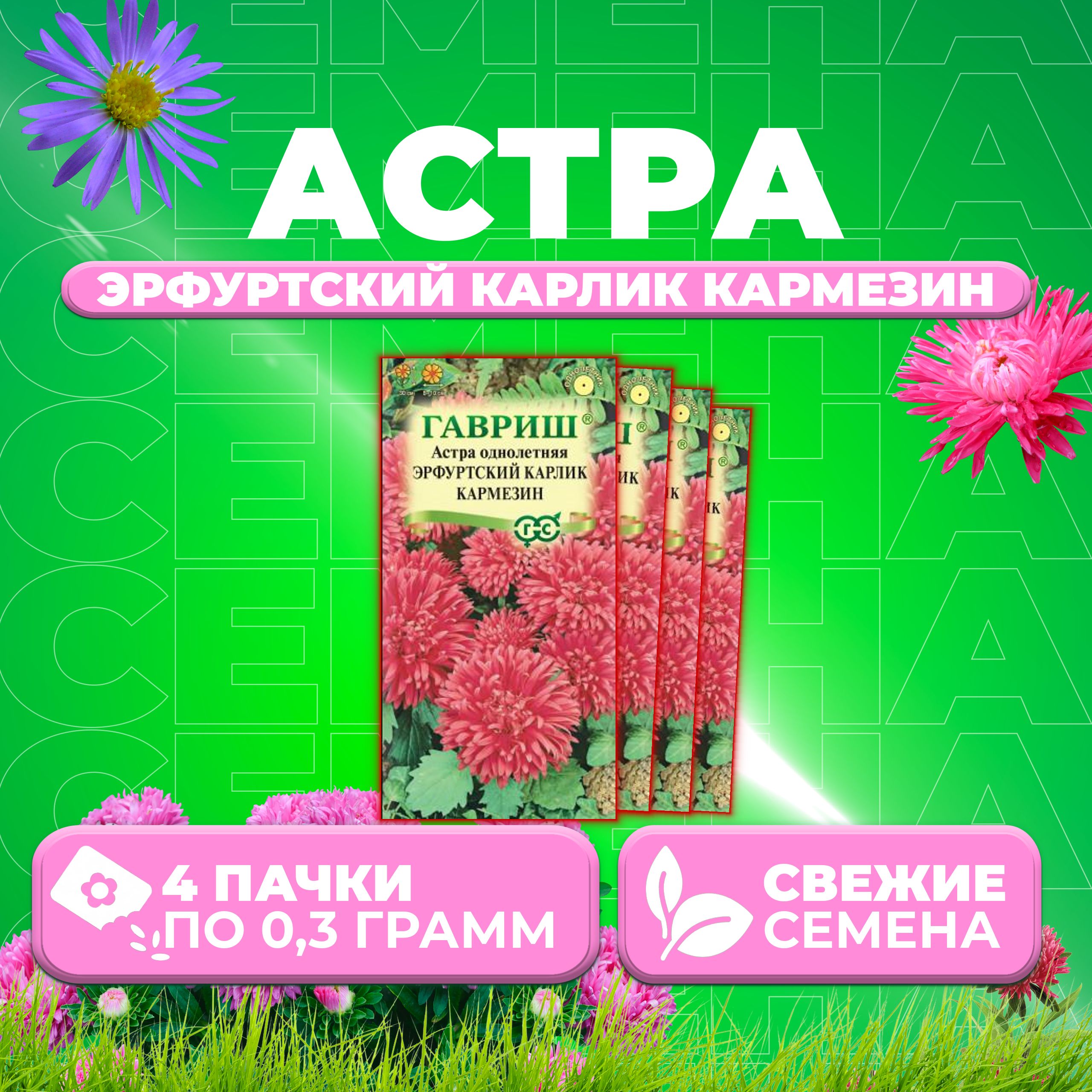 

Семена Астра Эрфуртский карлик Кармезин, 0,3г, Гавриш, Цветочная коллекция 4 уп
