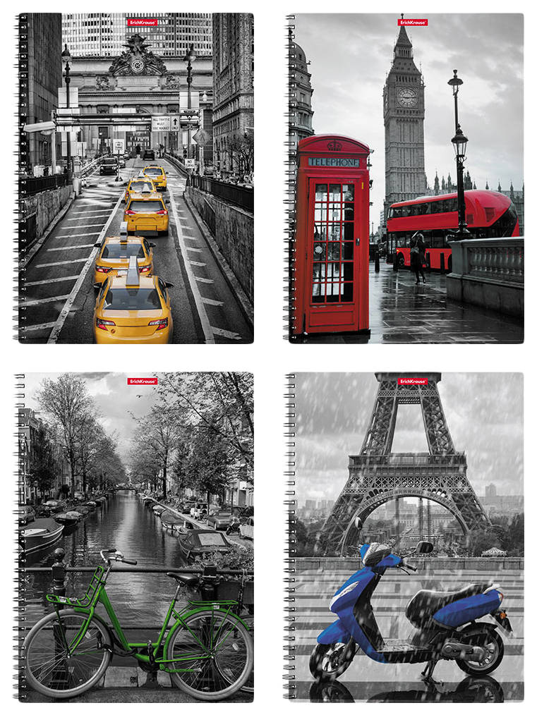 

Тетрадь общая в клетку ErichKrause Travel 080245254-53155, 80 л., 1 шт.