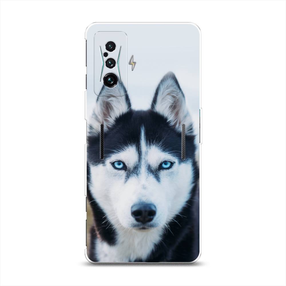 

Чехол на Xiaomi Redmi K50 GE "Хаски 2", Синий;белый, 314350-1