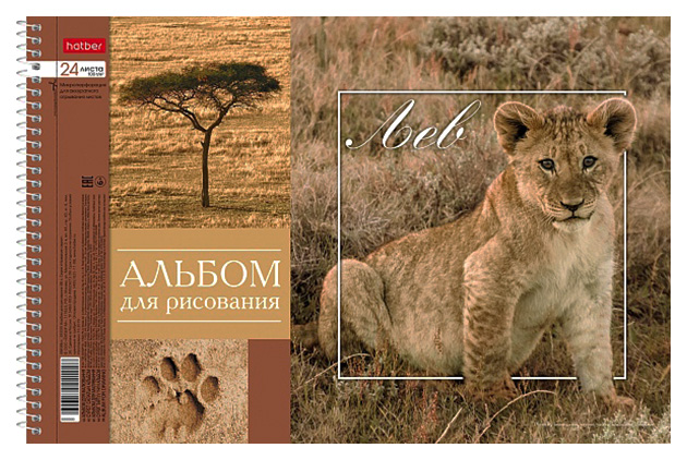 

Альбом для рисования Hatber BabyZoo на спирали А4 24 листа в ассортименте