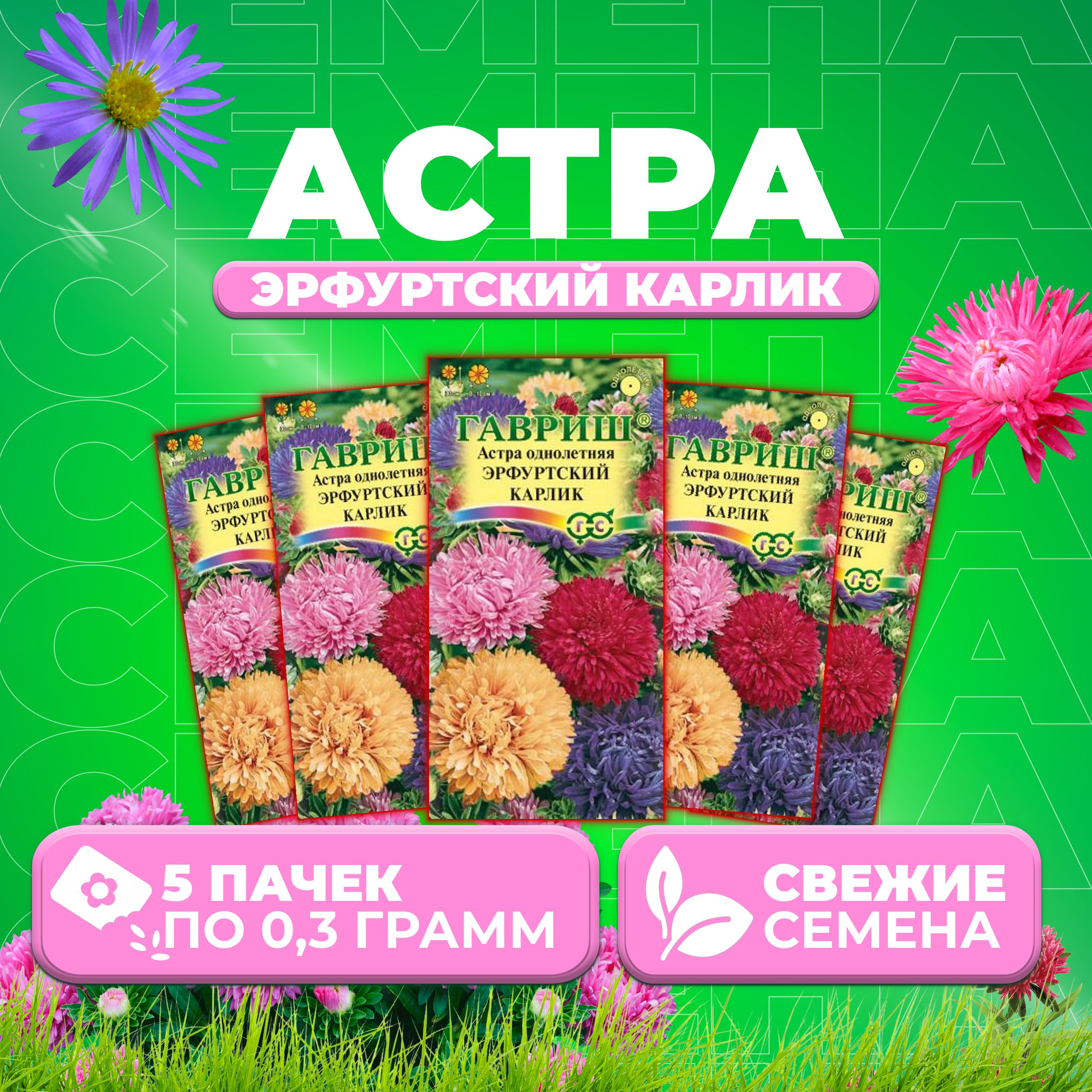 

Семена Астра Эрфуртский карлик, смесь, 0,3г, Гавриш, Цветочная коллекция 5 уп
