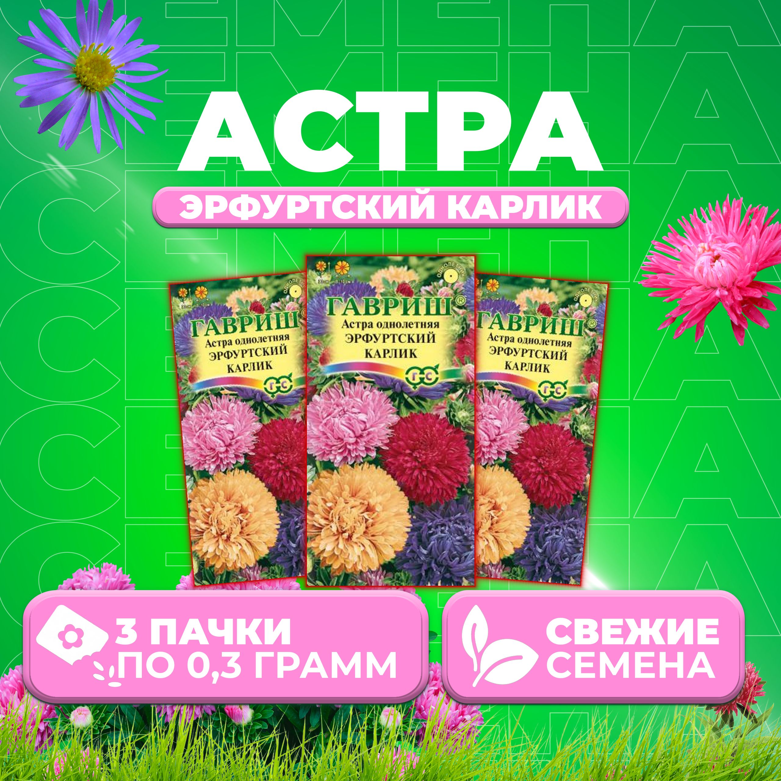 

Семена Астра Эрфуртский карлик, смесь, 0,3г, Гавриш, Цветочная коллекция 3 уп