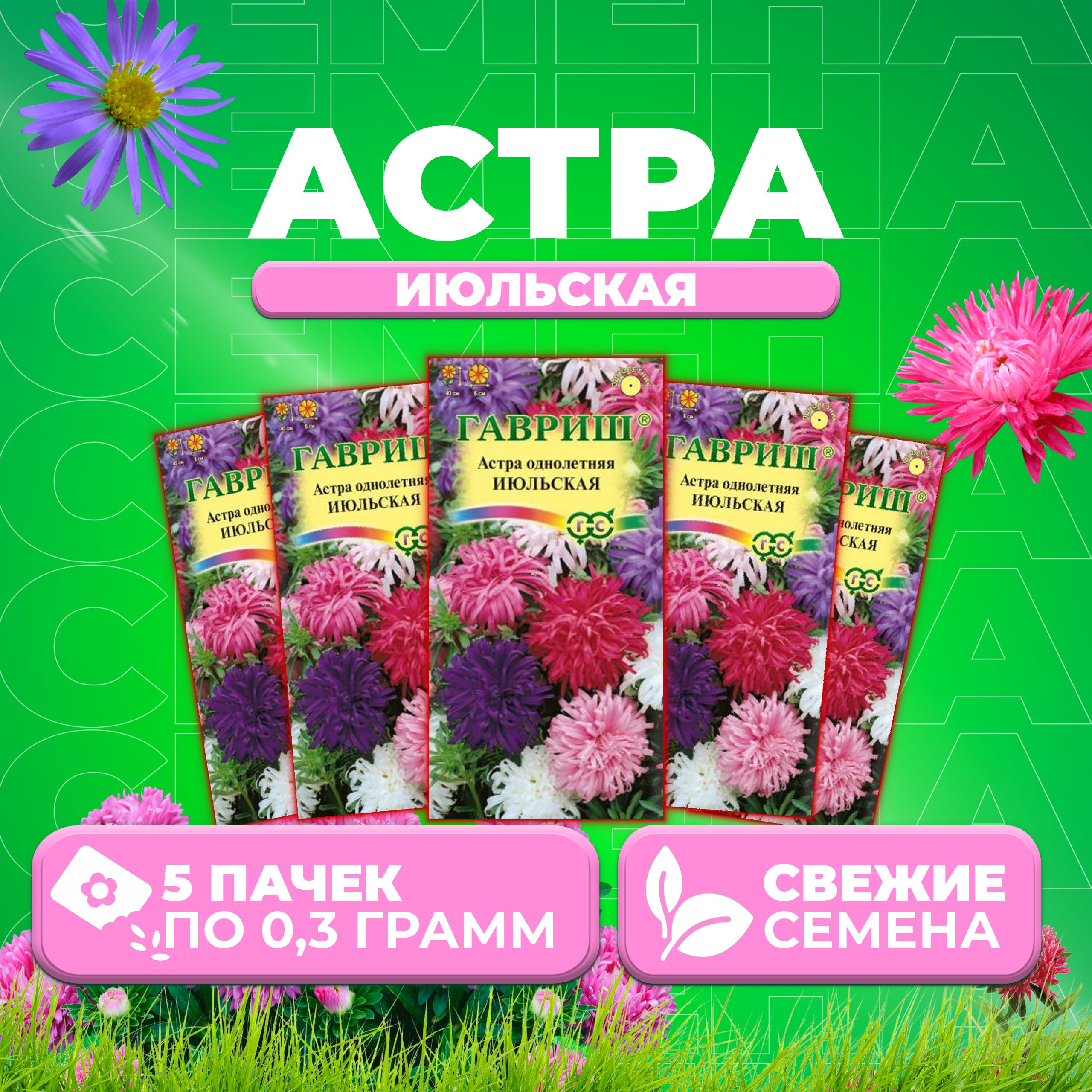 

Семена Астра Июльская, смесь, 0,3г, Гавриш, Цветочная коллекция 5 уп