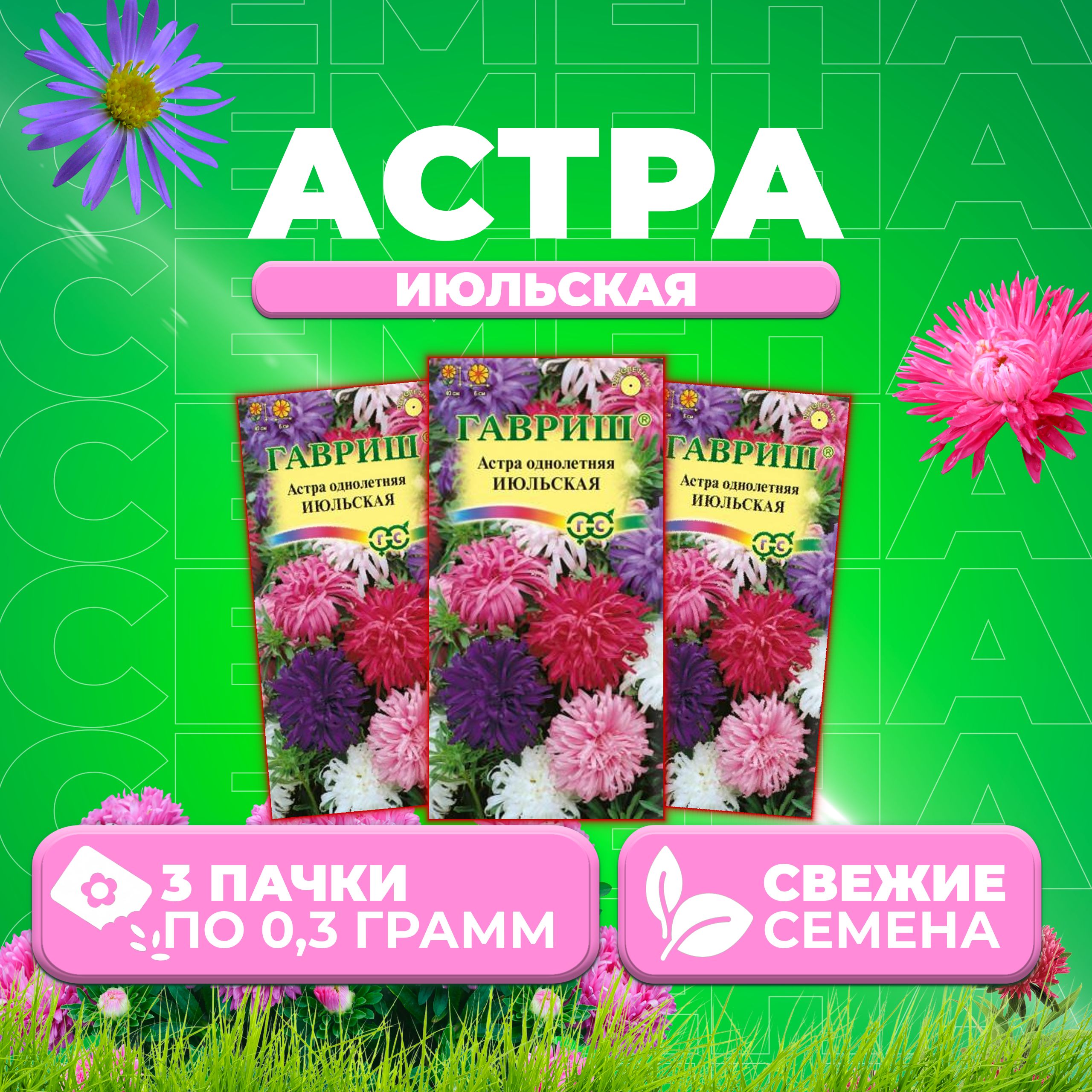 

Семена Астра Июльская, смесь, 0,3г, Гавриш, Цветочная коллекция 3 уп
