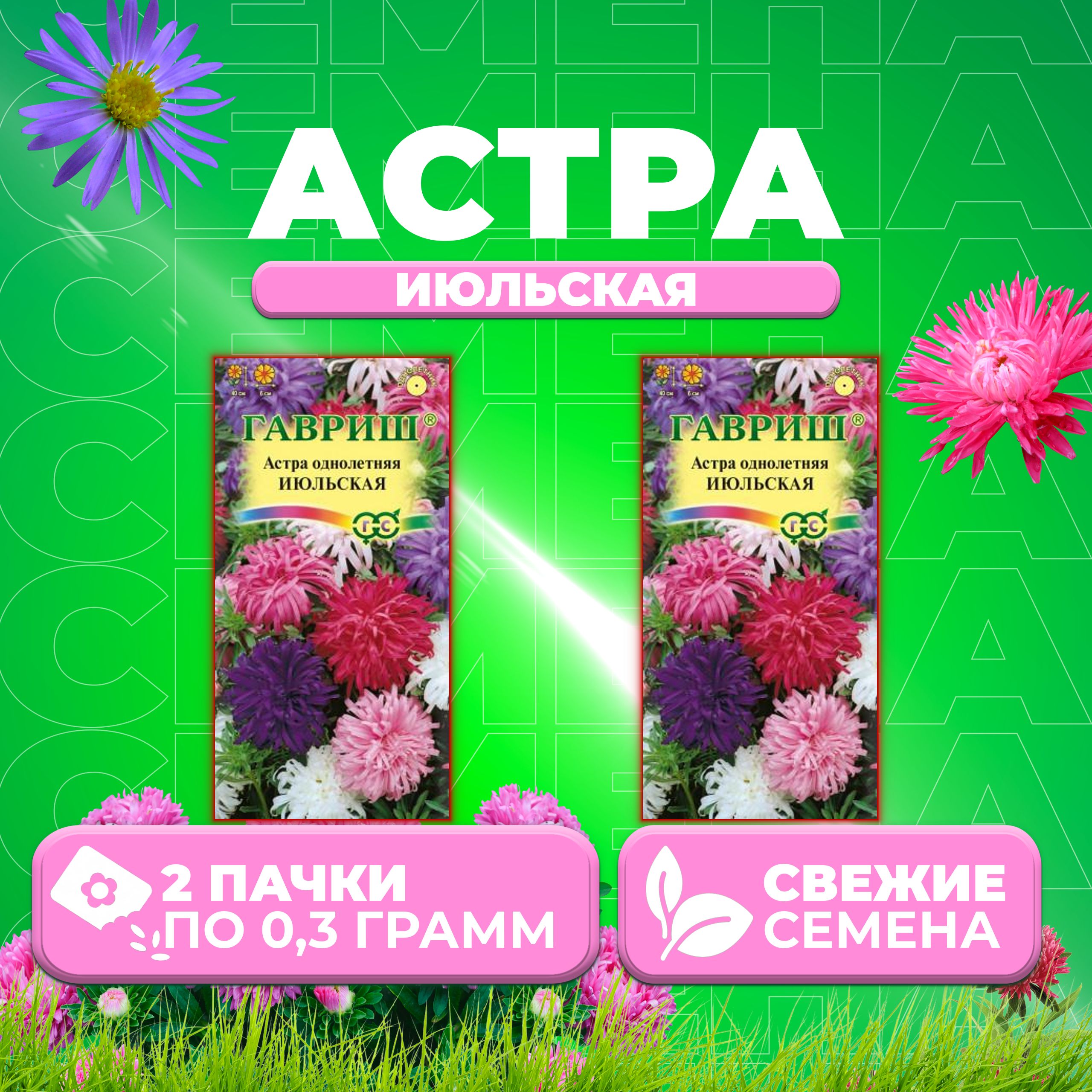 

Семена Астра Июльская, смесь, 0,3г, Гавриш, Цветочная коллекция 2 уп
