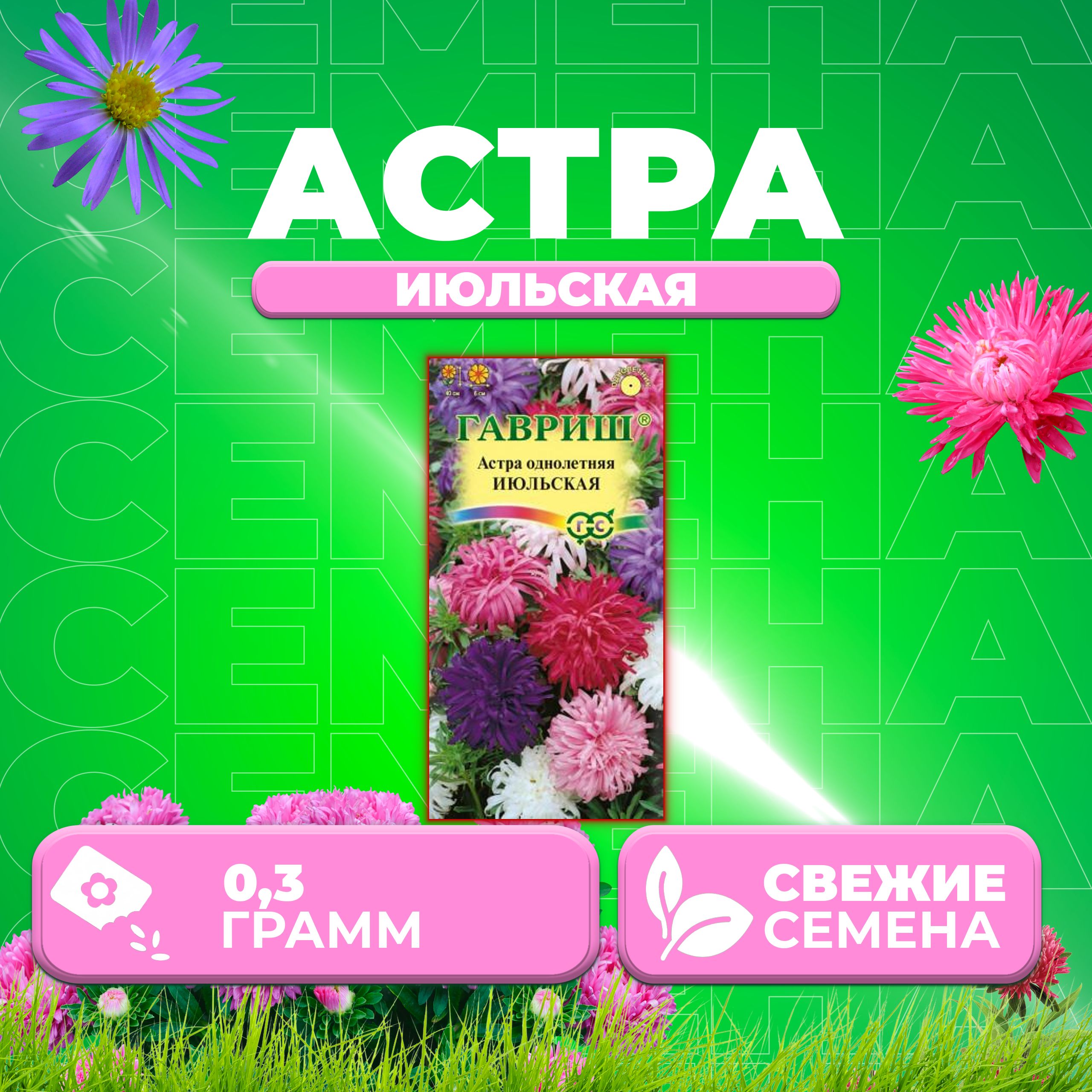 

Семена Астра Июльская, смесь, 0,3г, Гавриш, Цветочная коллекция 1 уп