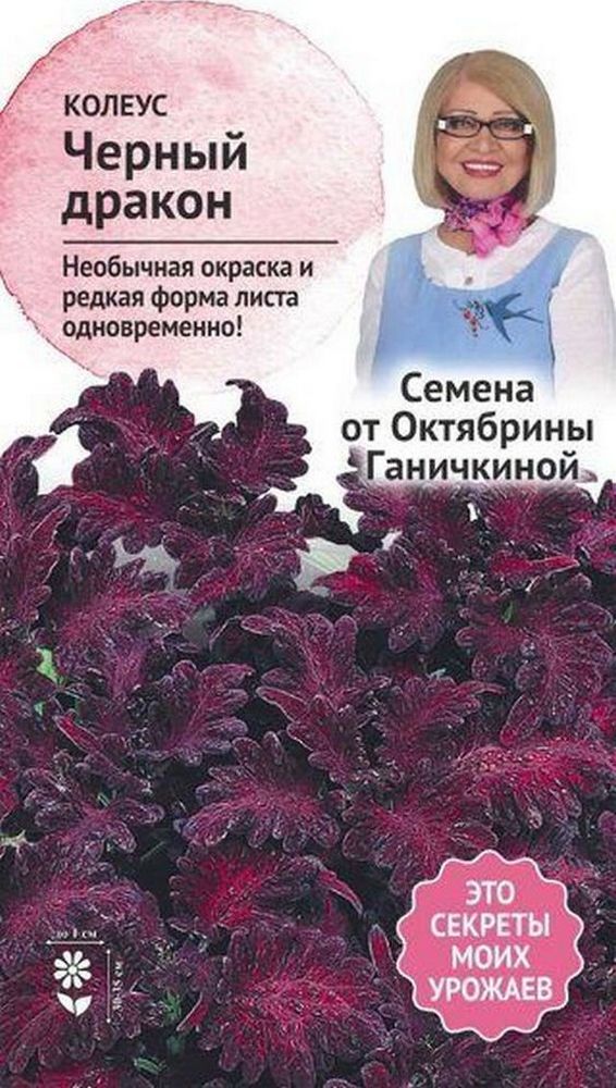 

Семена Колеуса Октябрина Ганичкина Черный дракон 10 шт