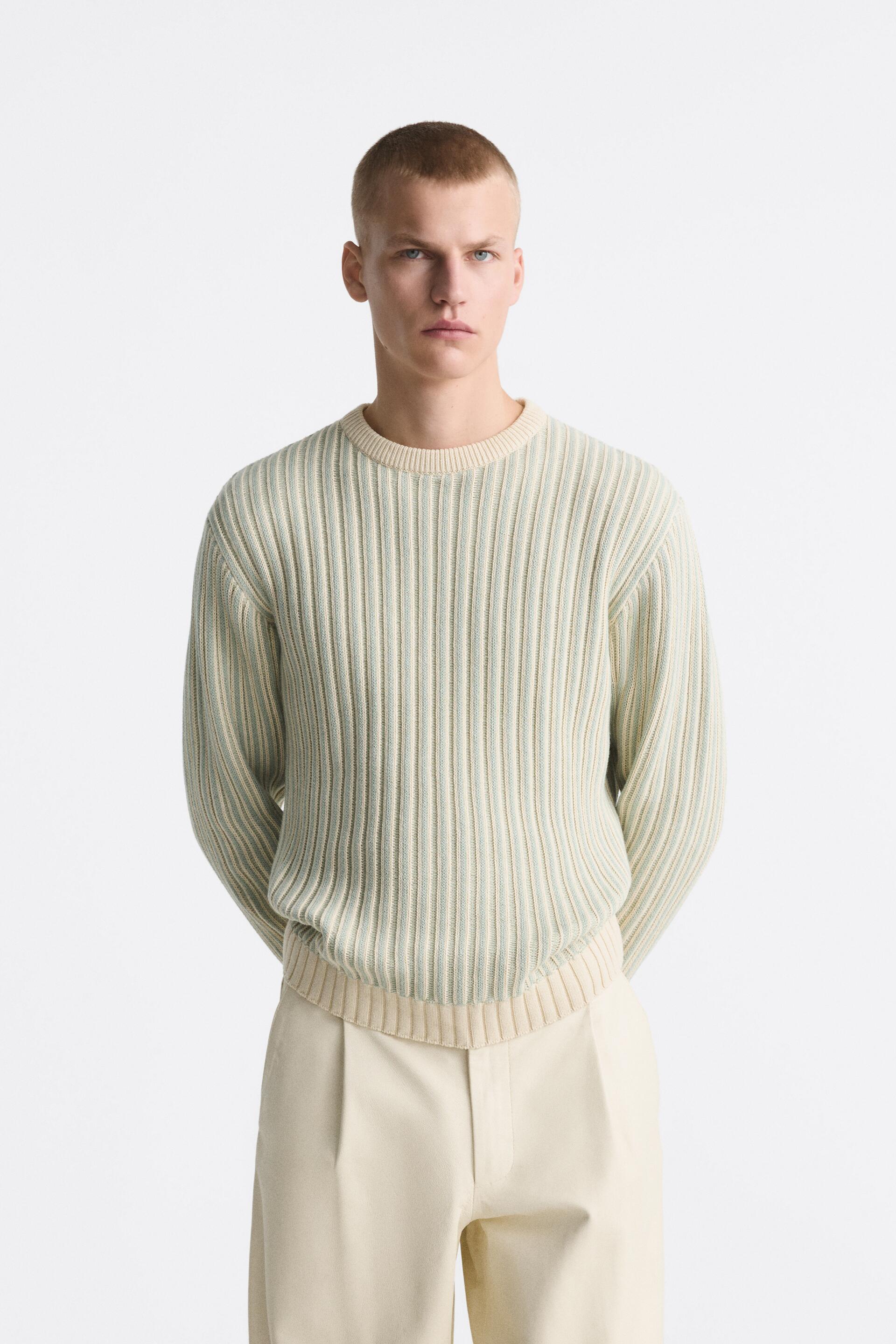 

Джемпер мужской ZARA 02621414 голубой L (доставка из-за рубежа), 02621414