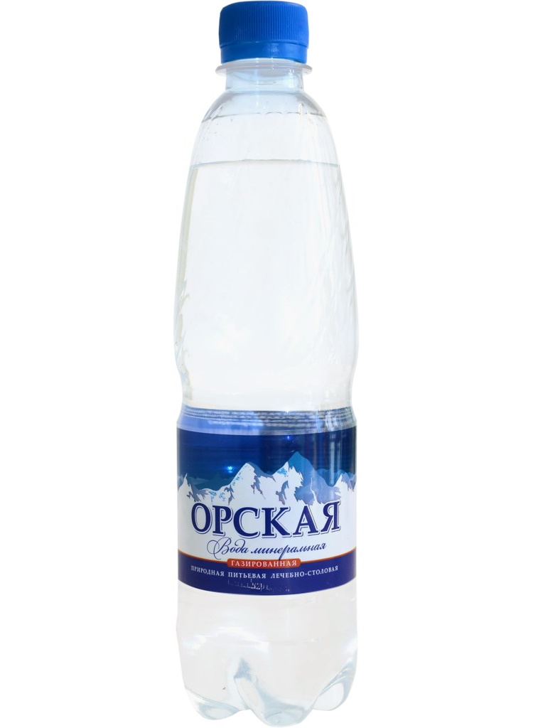 

Вода минеральная Орский Хлеб лечебно-столовая газированная 0,5 л