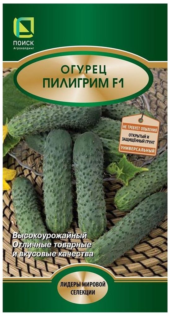 

Семена Огурца ПОИСК Пилигрим F1 12 x 12 шт