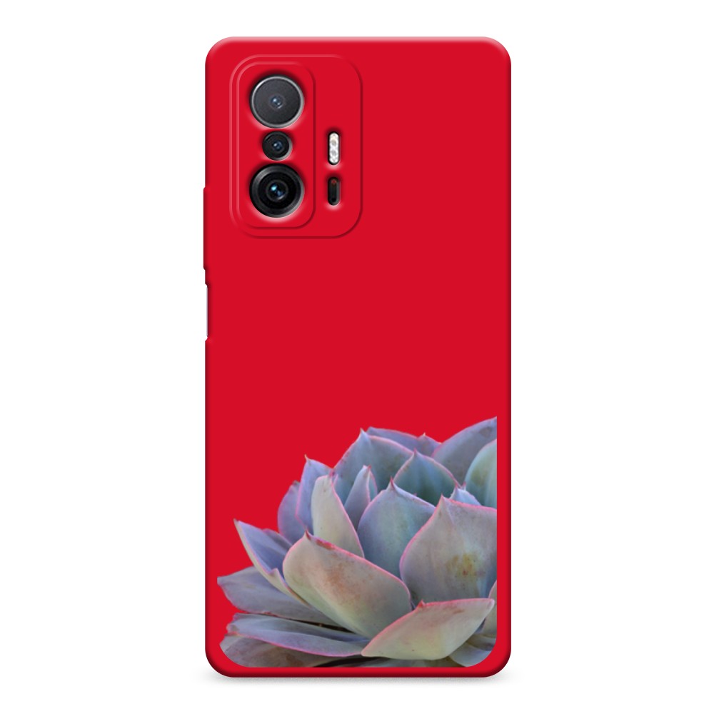 

Чехол Awog на Xiaomi Mi 11T/11T Pro "Молодило уголок", Разноцветный, 313753-1