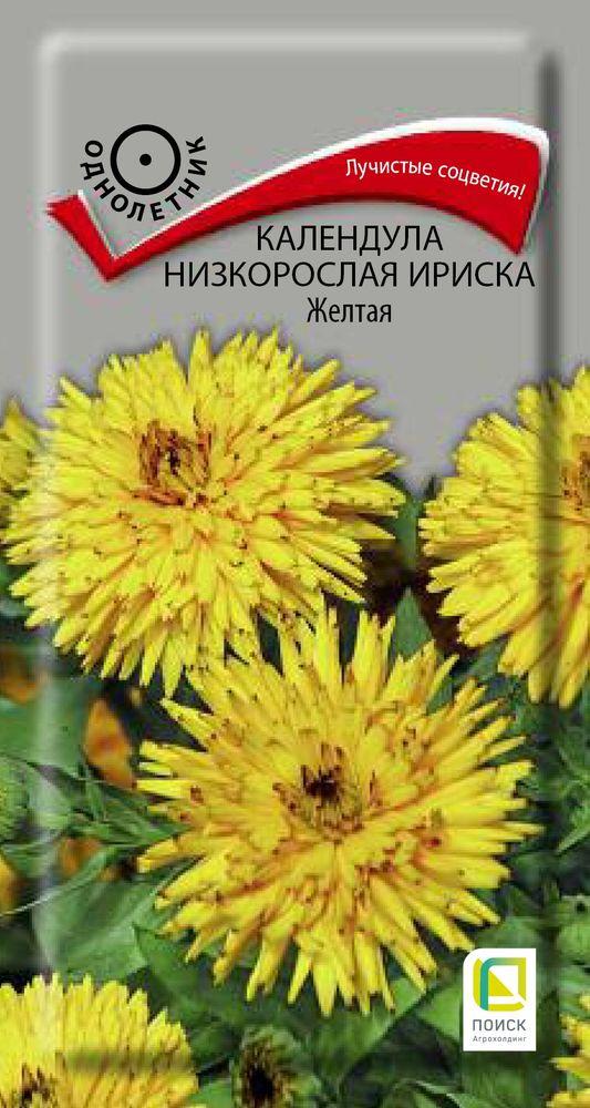 

Семена Календула низкорослая Ириска желтая 10 шт