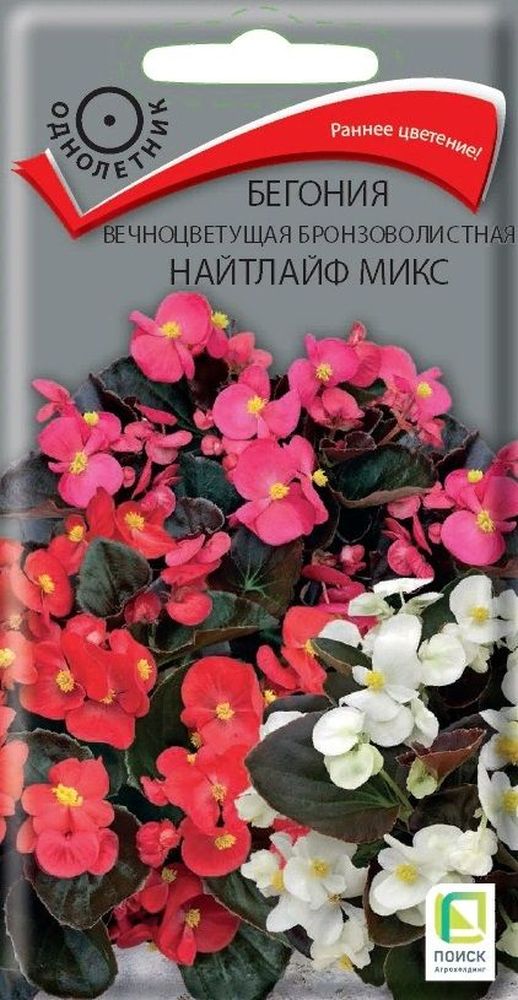

Семена Бегонии Найтлайф микс 15 шт