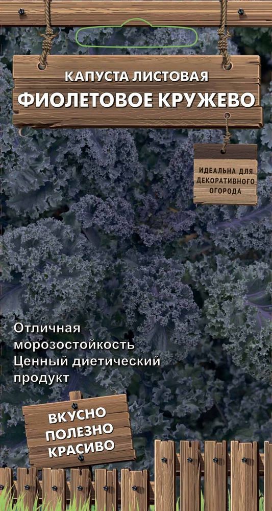 

Семена Капусты листовая фиолетовая Кружево 0,1 г